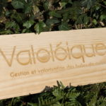 Avec BEE & CIE, Valoléique soutient la sauvegarde des abeilles et le maintien de la biodiversité !
